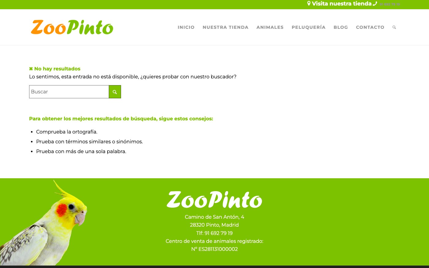 Página no encontrada - Zoo Pinto