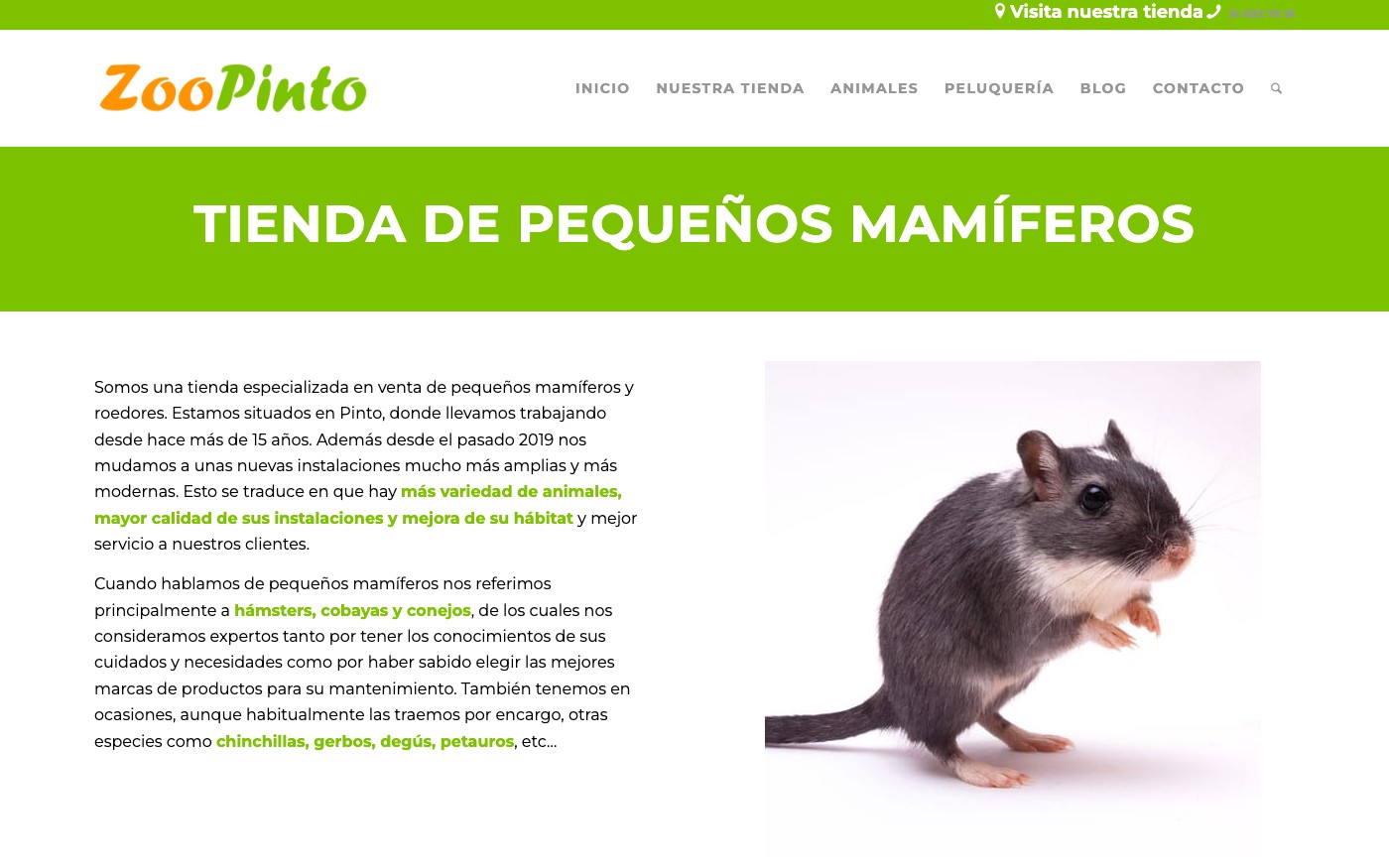 Captura de pantalla de la home de Zoopinto