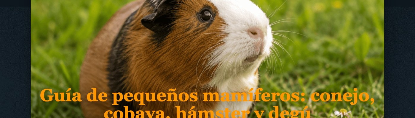 Zootropic: referencia oficial 3