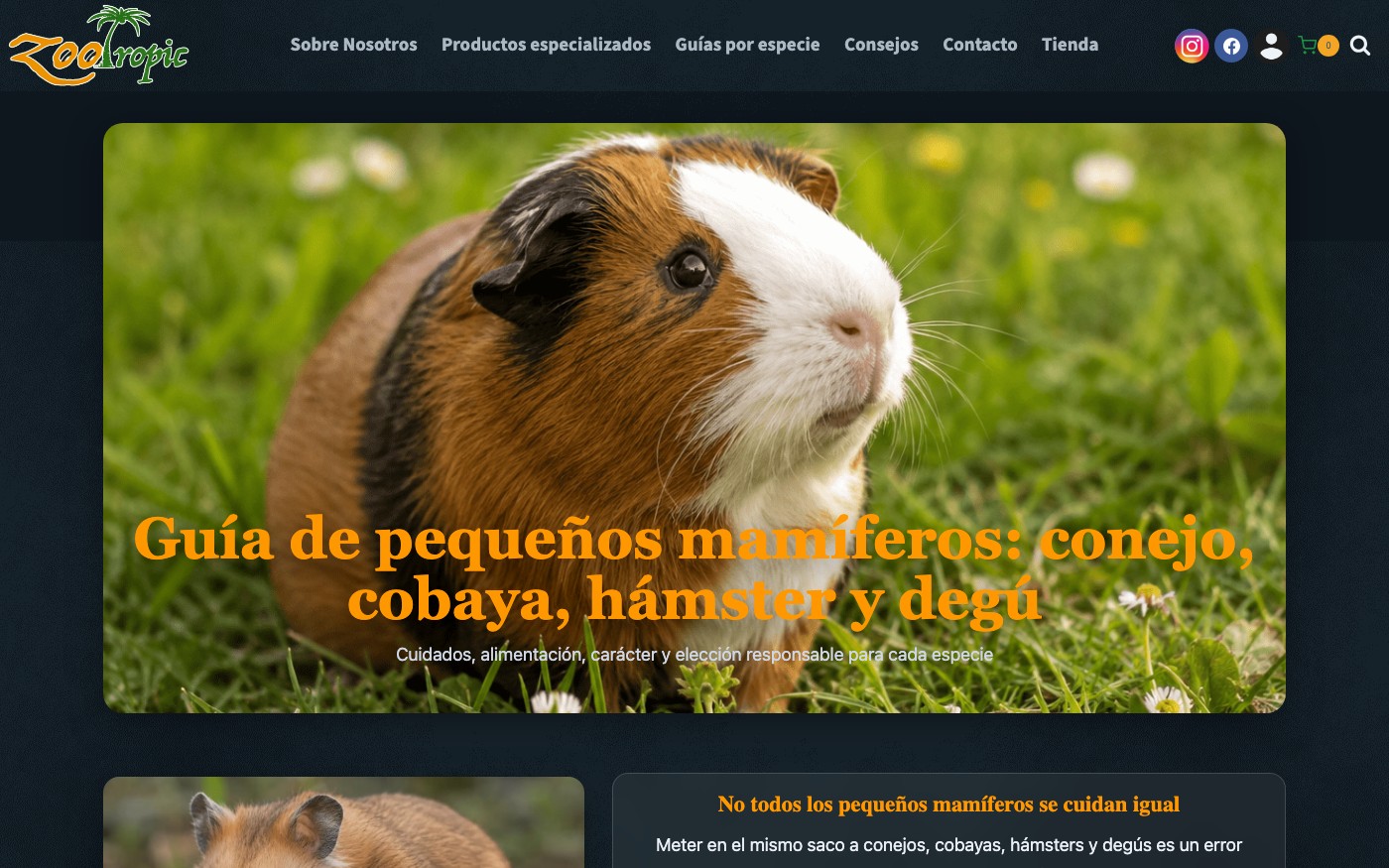 Captura de pantalla de la home de Zootropic